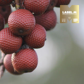 08e70125e96912bdf308b07b48a217dddbf5bafd media library original 336 336