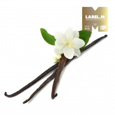 1be8bfbd28889ccc23ce35f8e3d37fa1ee52336d media library original 401 401