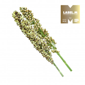 1c1576ccff44a4a7a691a4c5c75731f5cbb14df4 media library original 336 336