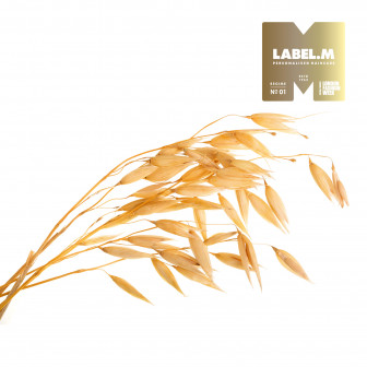 1c16596e2d3354f88f91992441d08c9099cd38b0 media library original 336 336