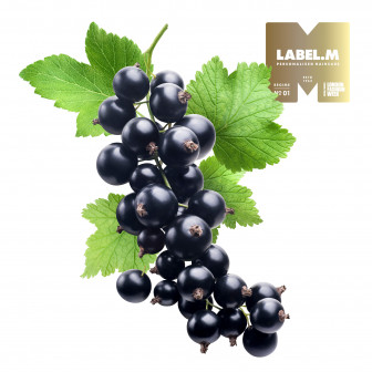 1e075ca5b147d560d1ec6b06dad451ae6dfb1d46 media library original 336 336