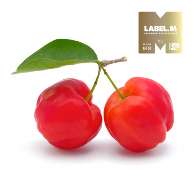 2d5a21d8b74362760f5e9538a5283d1d50dc9300 media library original 401 401