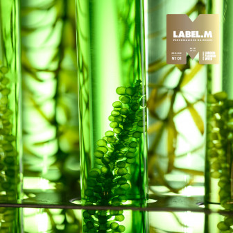 3b8b9e7eece0b83a847f8a6eeb8cdcbb48cd6040 media library original 336 336