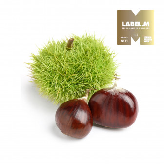 42ffbeb4e8a80d5746628a56fe4d2f7e2179d320 media library original 336 336