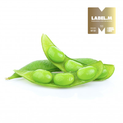 59a3ffd0fd962fb2de1bf6f38572e7cae8741140 media library original 401 401