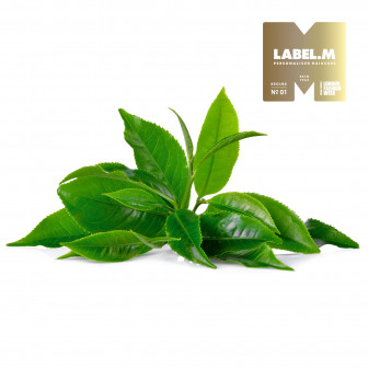 79824721c0f322ee81a68c7fdfe650015a6322f4 media library original 336 336