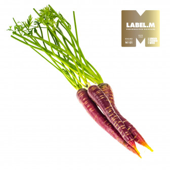 7f0970bac9758ef57102adf6ae9d2886bf020400 media library original 336 336