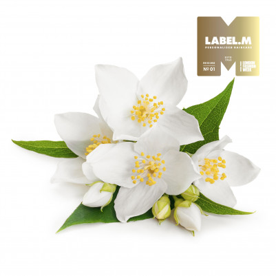 895e2ecce247050853015445e1c24d1e9791f36e media library original 401 401