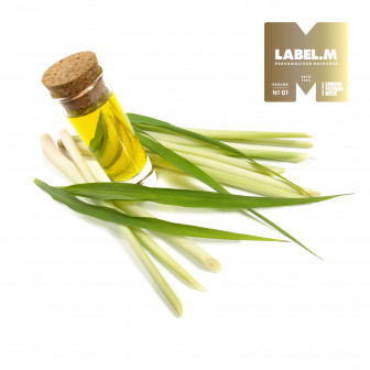 93d028c423da77e9813468c996a469dbc7babd21 media library original 336 336