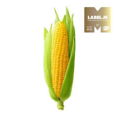 967c86145b129085627d272cd7b6e794821ecda3 media library original 401 401