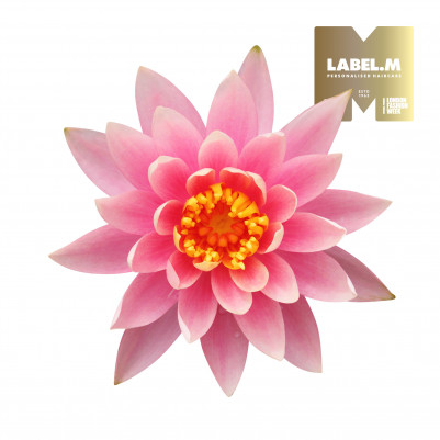 9c327b35097d86c918d865dbfbe76bcc94029a06 media library original 401 401