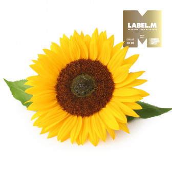 9cf78c95f8e94e4d9bc6345843eb8927cd343ef0 media library original 336 336