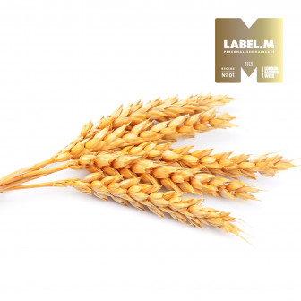 a9406aba13508b277628d477db5b70ed29fd05d9 media library original 336 336