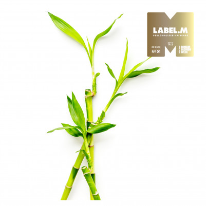 aa6d28e6ef03abb10507ad0b6edda1868261b91b media library original 401 401