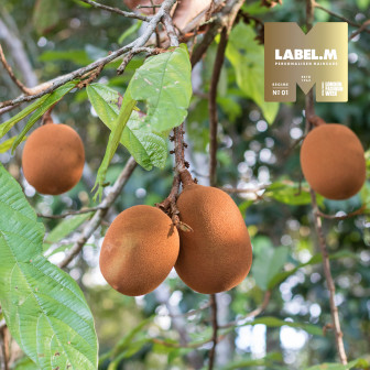 ac125339012ce8905e38299f84bfffd6bb91c0fe media library original 336 336