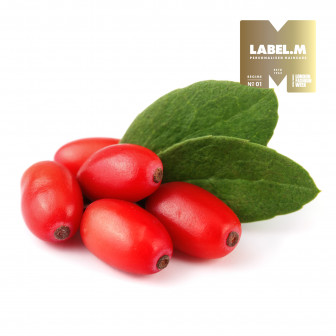 b43c59451023a4dcdb2268e3bf8f79794c6afdbc media library original 336 336