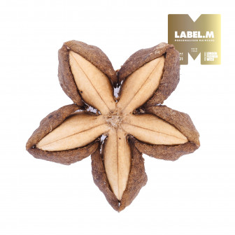 bddb9700f69d5af2daa26e5fe739b2bd4ba4ff95 media library original 336 336