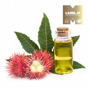 c0e03824dfe9aa5c526e7a92e882470f5a68aca0 media library original 336 336