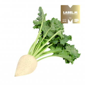 d58b0ed2aca9f21eddbb43767bd3d28fbfacfeae media library original 336 336