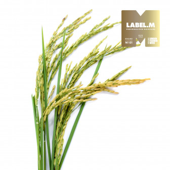 da05c17ce73fc592bf2ea260d7bc814703ebf52e media library original 336 336