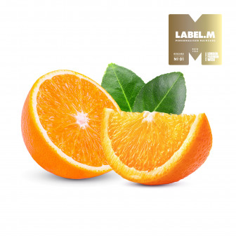 dc398e10417763de9afd2ece072effc51d075503 media library original 336 336