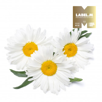 f5a6298cdb561511ba0b740c4f1821c8a01d439f media library original 336 336